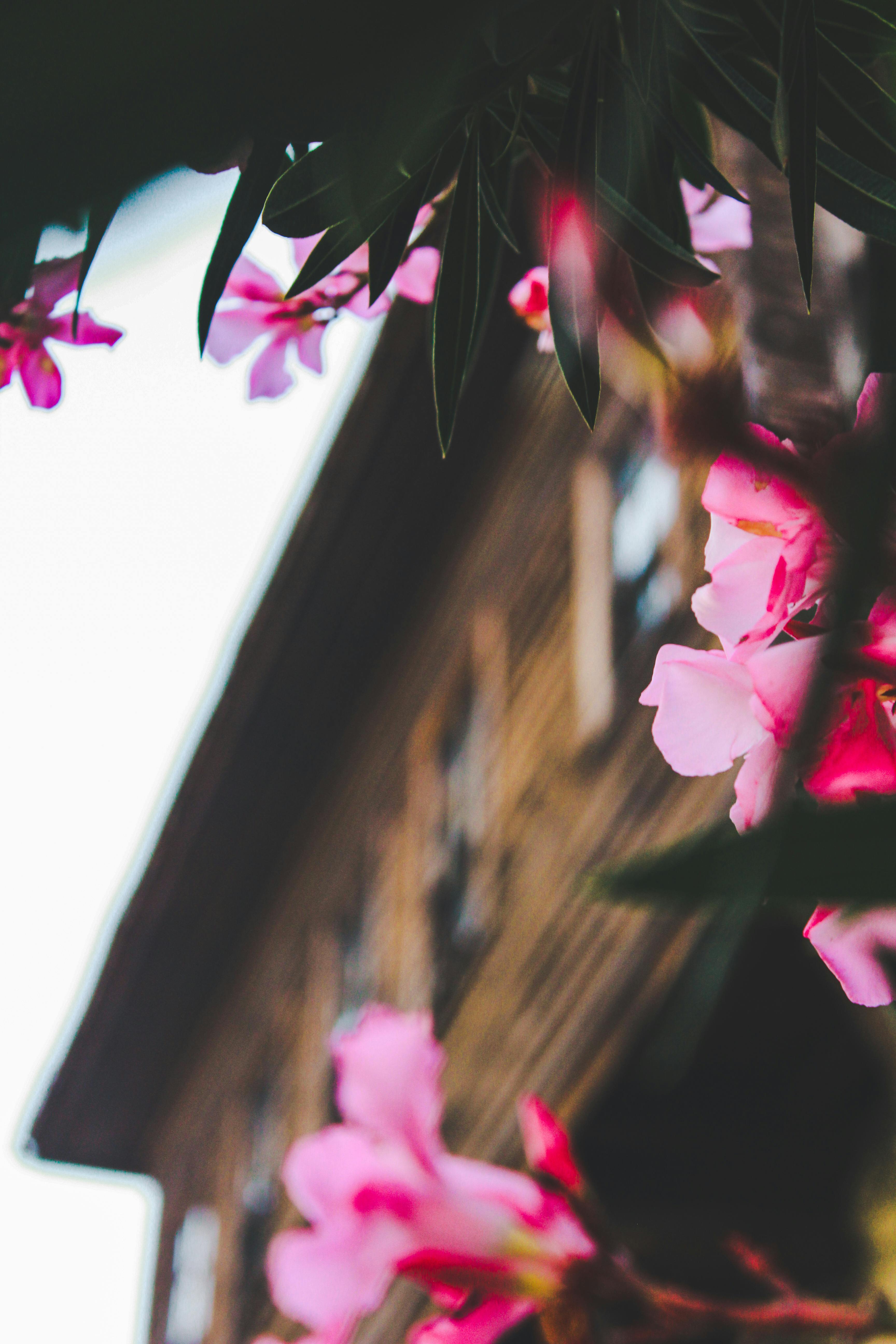 Gráficos financieros y manos operando en una computadora