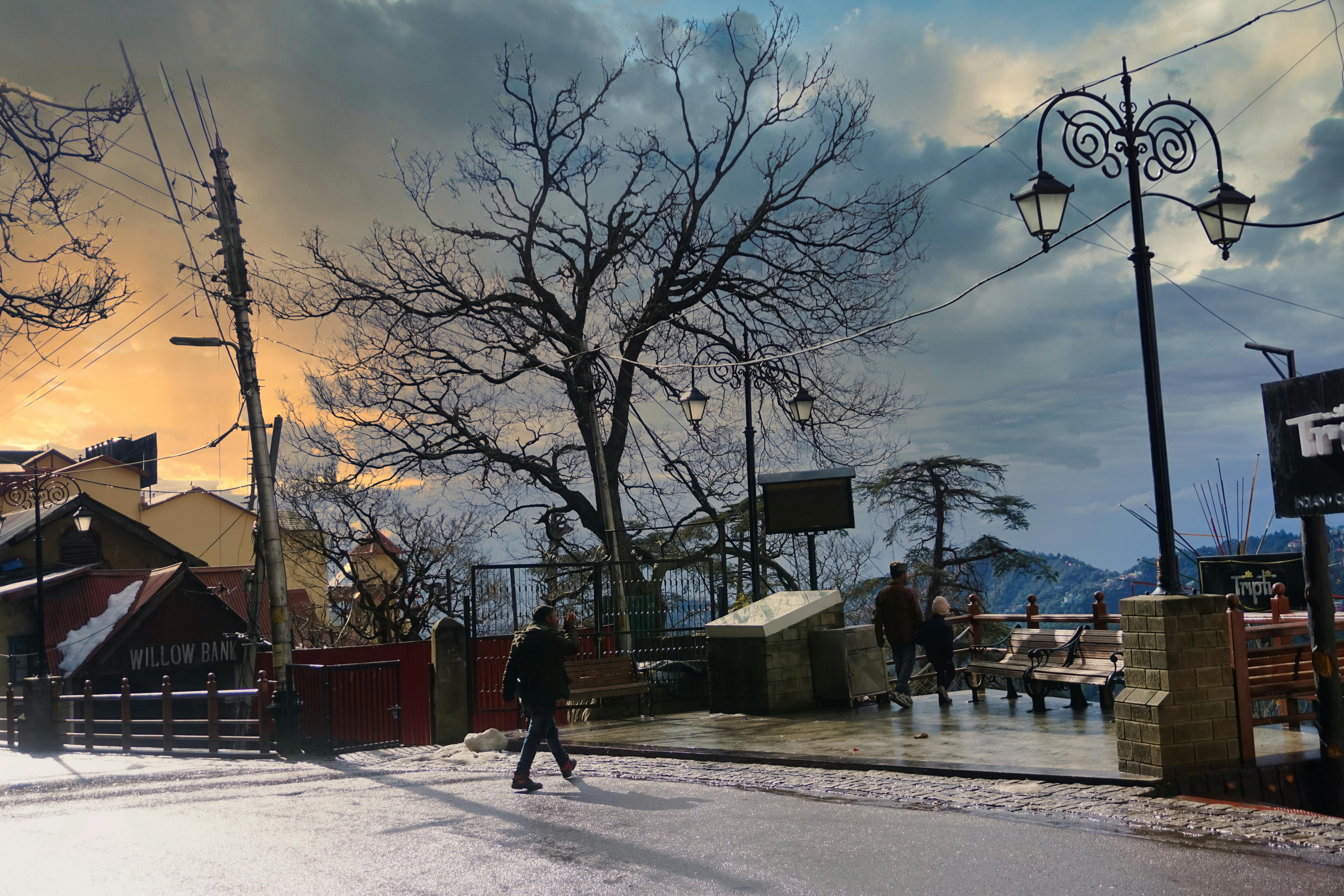 Lèdgèr Live Mobile interface