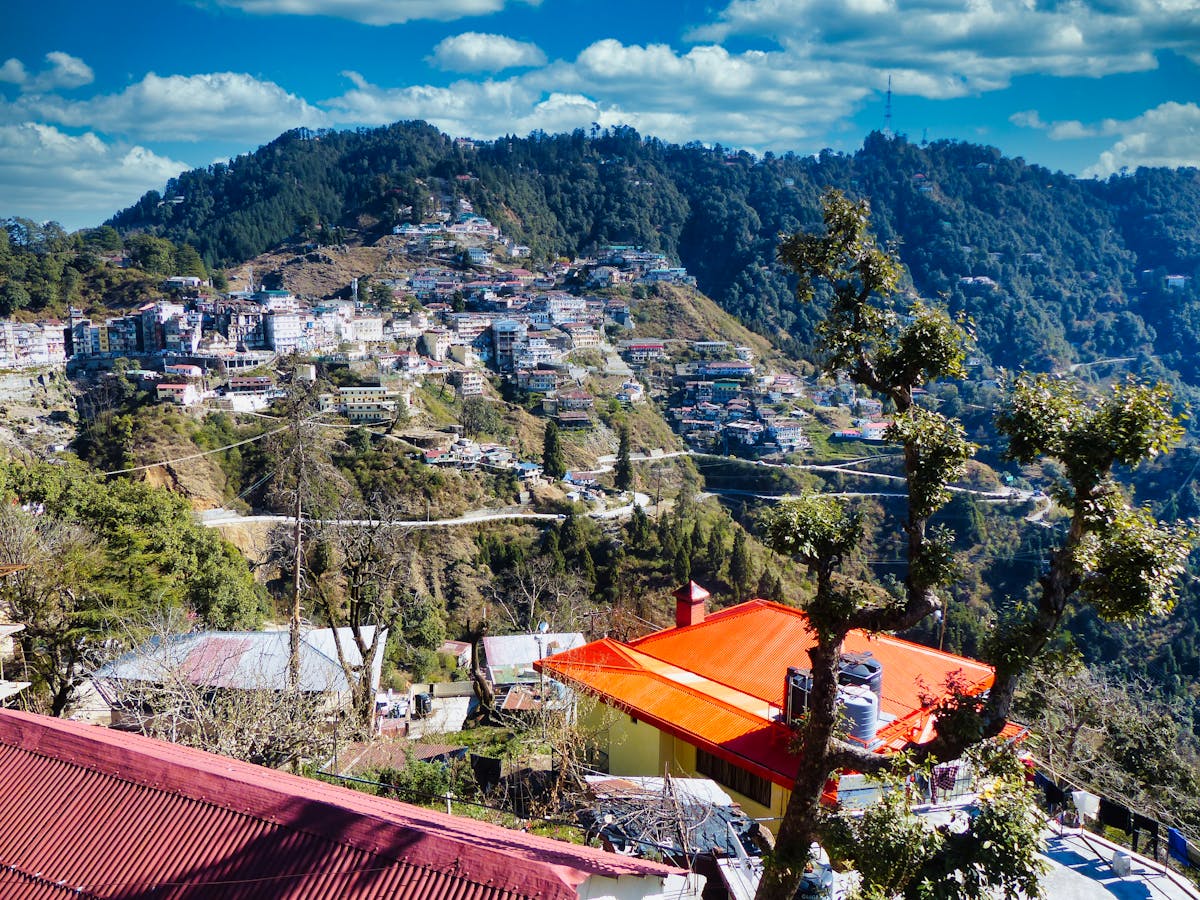 AI Financial Analysis