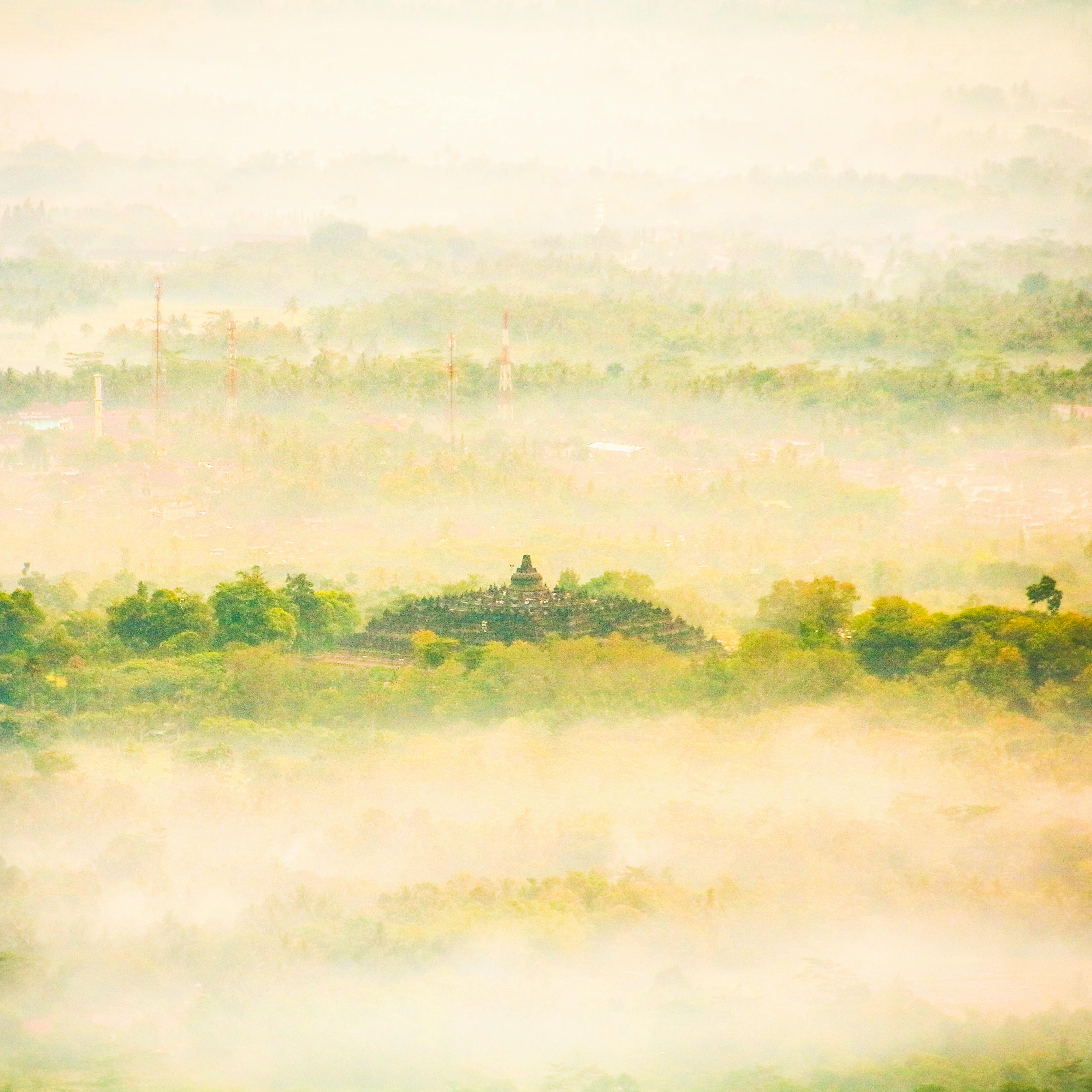 Graphiques financiers et données de trading sur un écran d'ordinateur, représentant le marché du Forex.