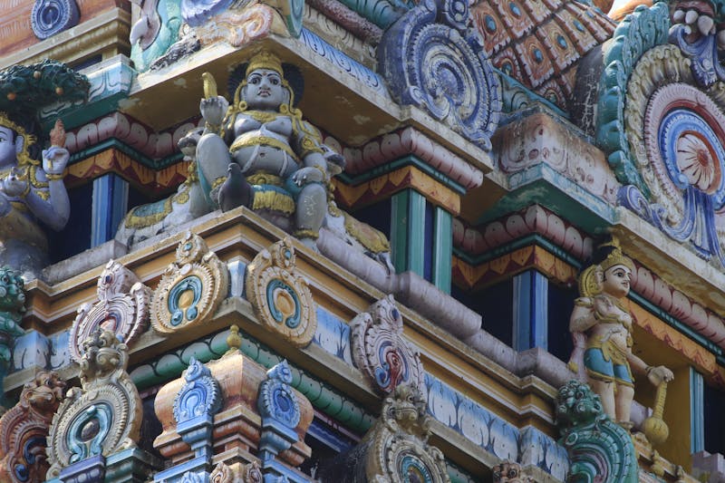 Portret expert curățare jgheaburi