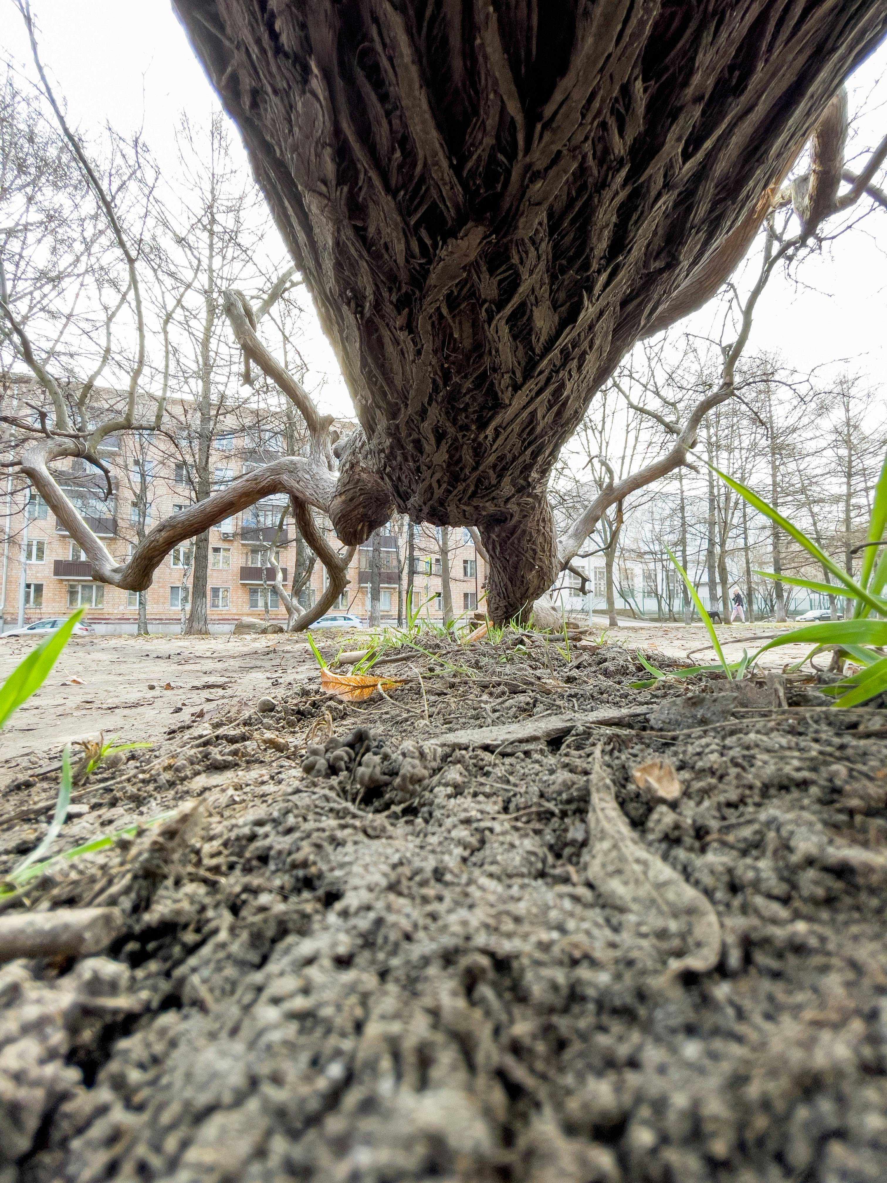 マイナー通貨ペアの取引戦略