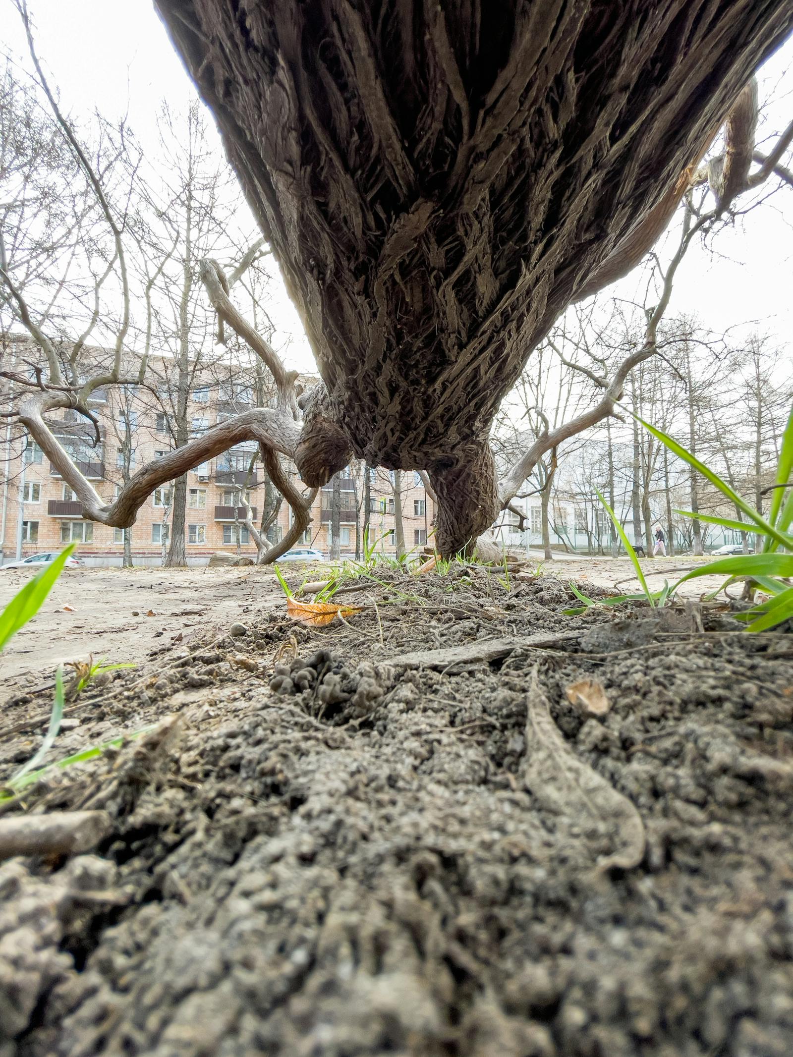 Economic news and trading preparation