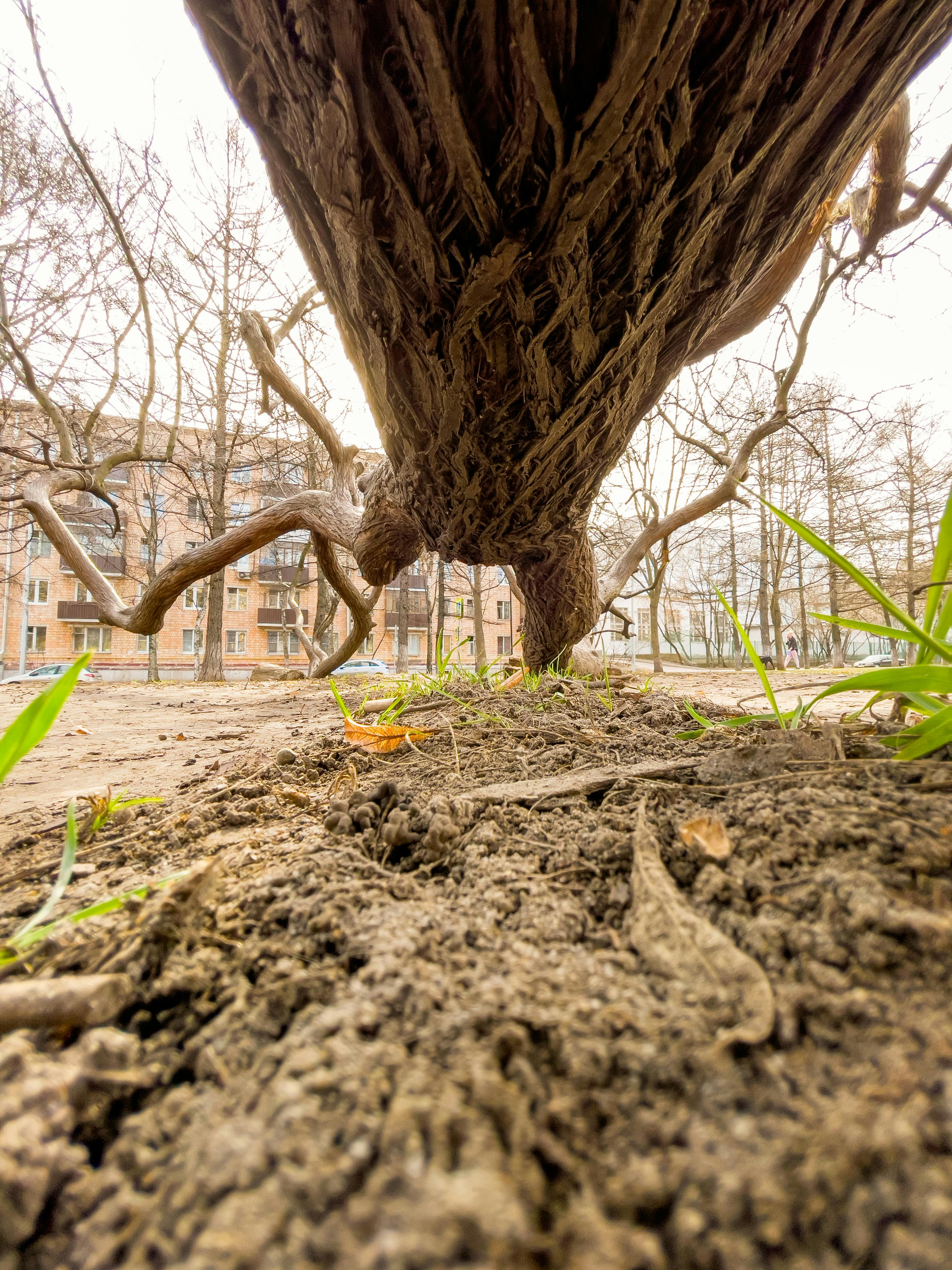 ヘッジのメリット