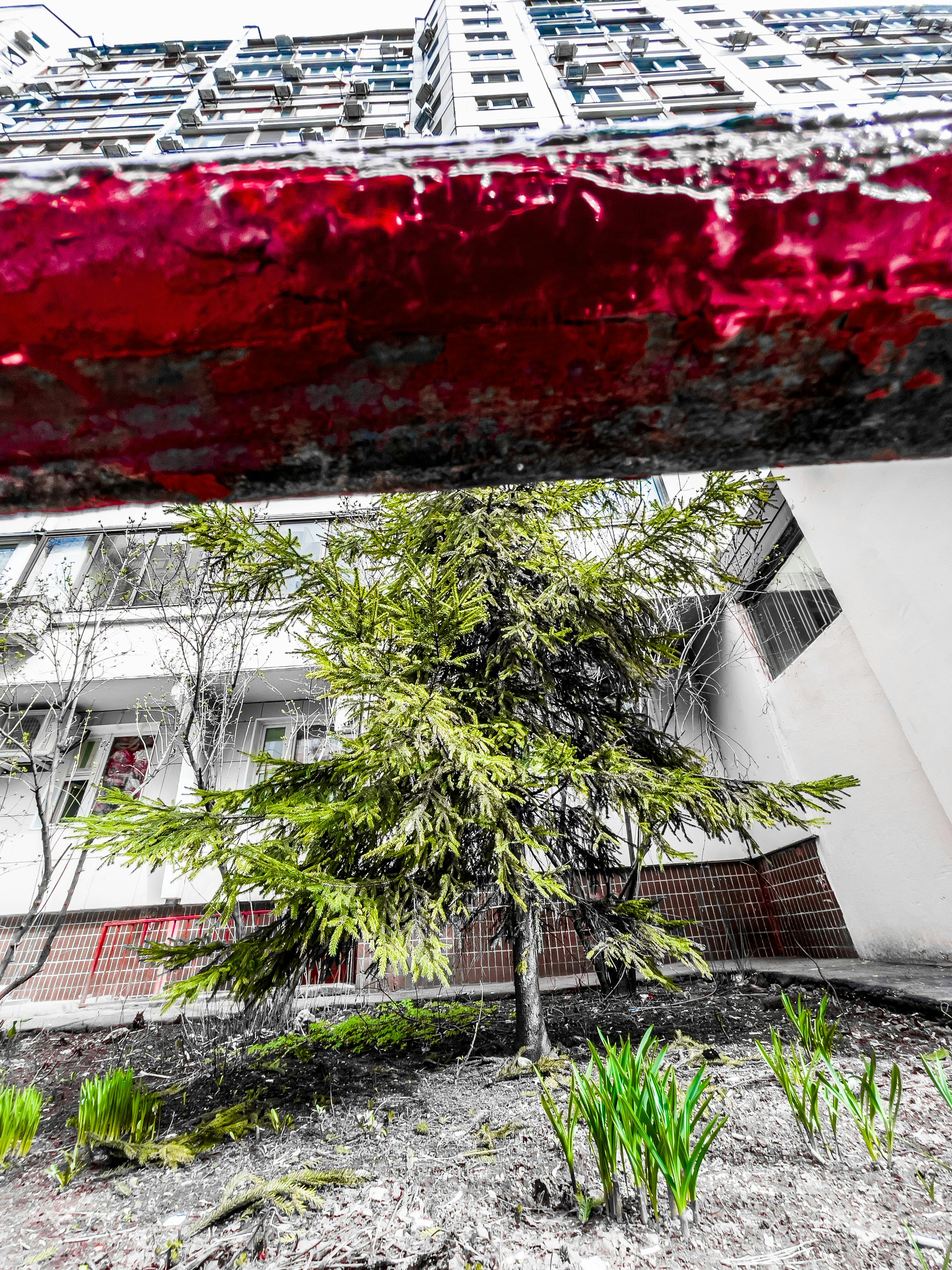 Personal Branding for Freelancers