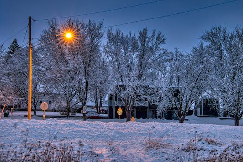 Snow in Town at Dusk