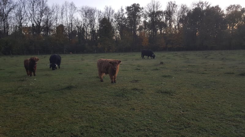 Логистический хаб