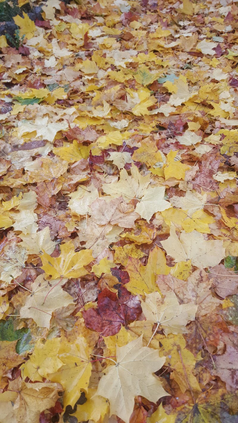 Система управления