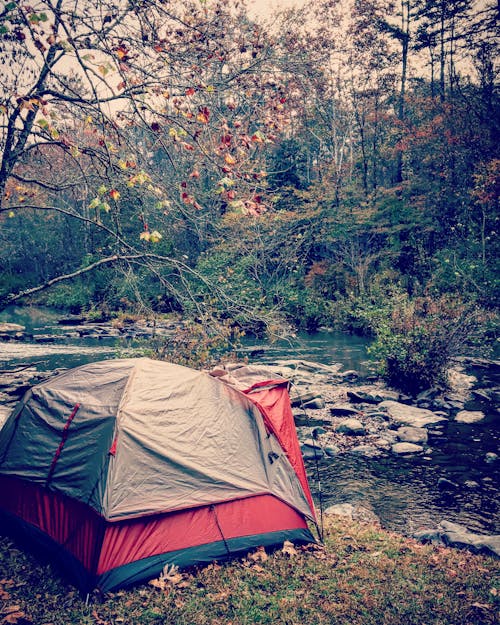 Gray and Red Dome Tent in Forest