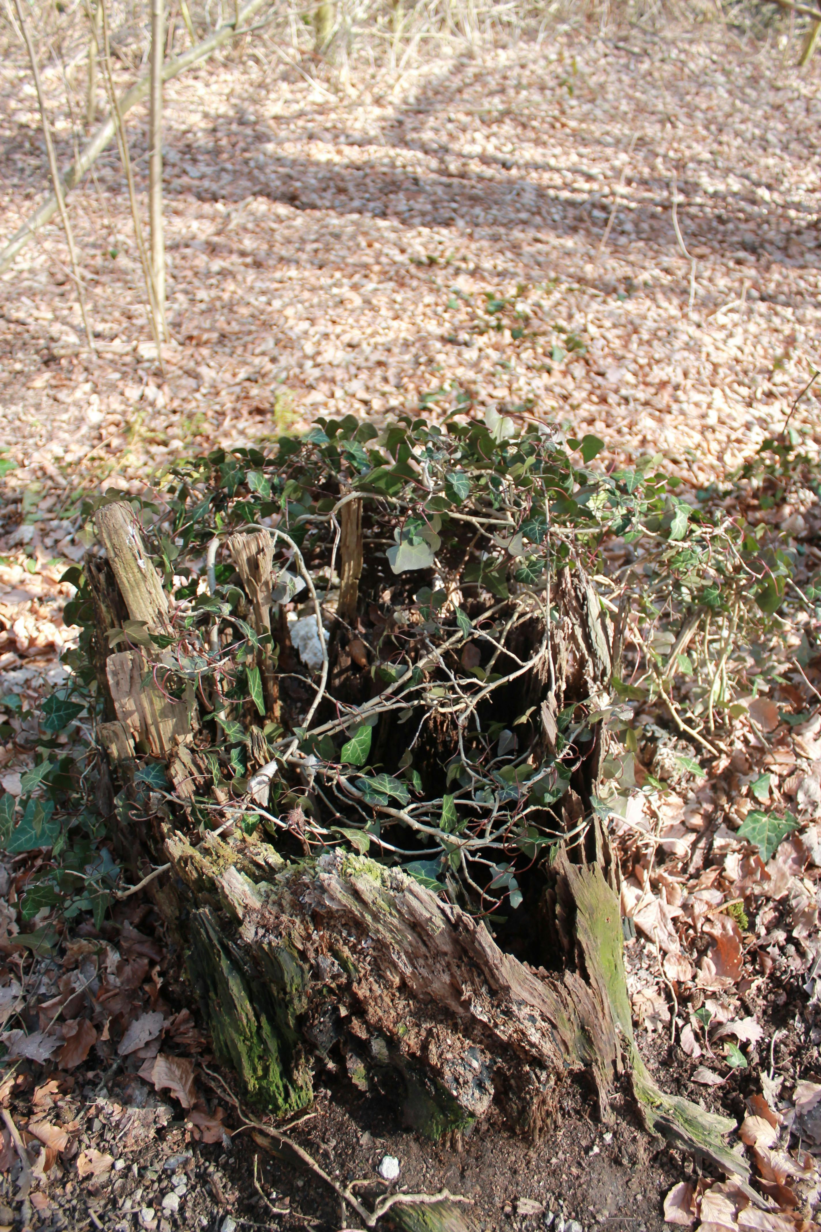 Gráficos financieros y manos operando en una pantalla de trading