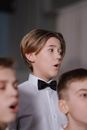 Free stock photo of adolescent, boychoir, boys
