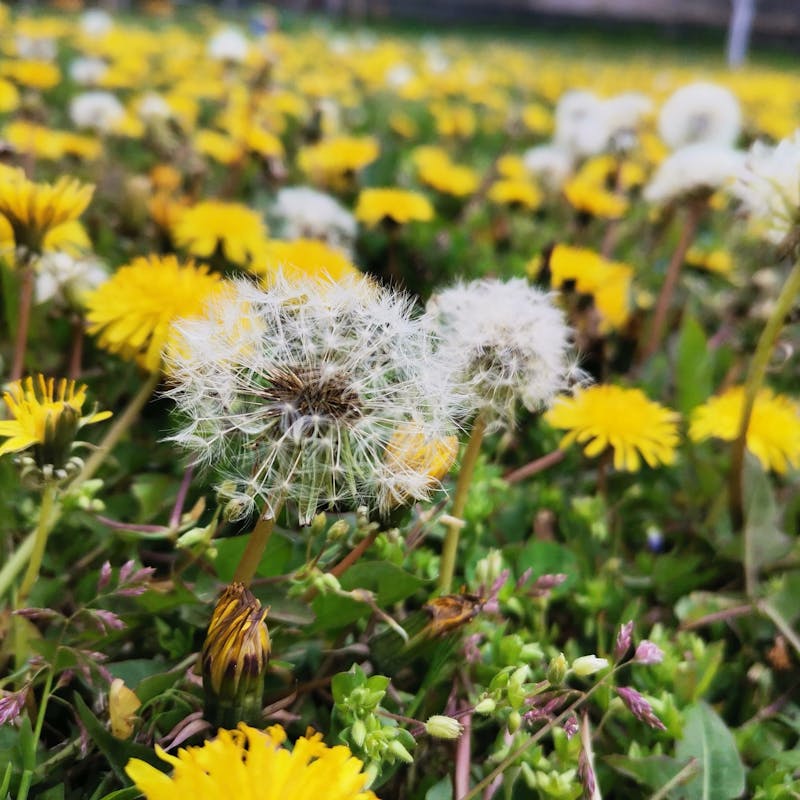 Manuseamento seguro de cargas pesadas