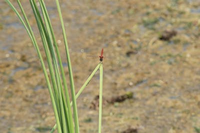 Control panel of the filtration system