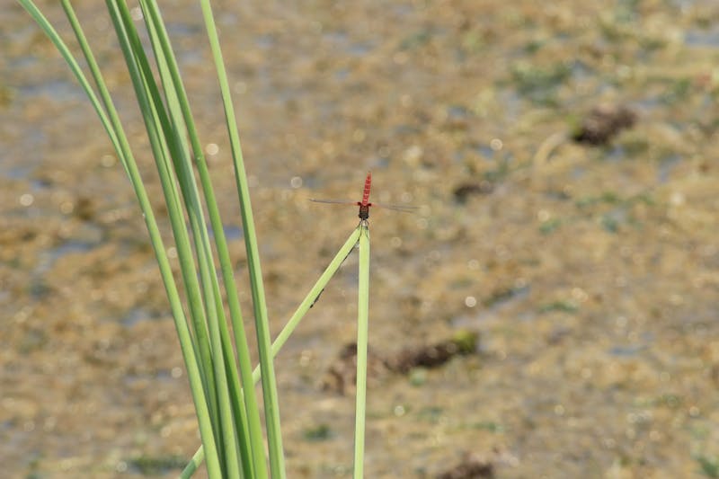 Инженер проверяет автоматизированную систему на складе