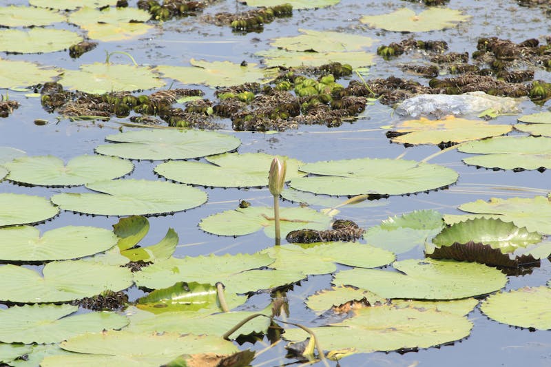 Salle de réunion équipée