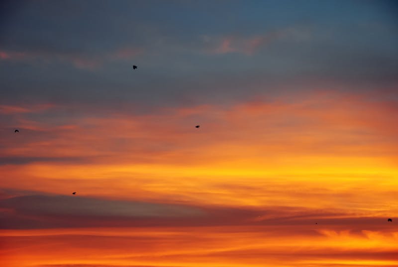 Zonă tampon cu cortine de aer active