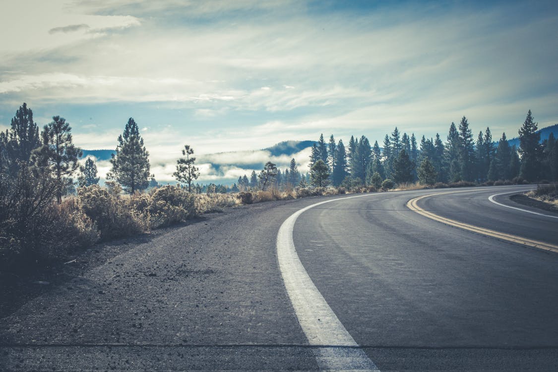 Free Gray Concrete Road Near Forest Stock Photo