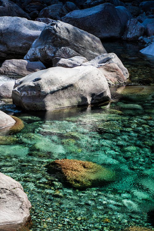 Fotos de stock gratuitas de agua clara, cuerpo de agua, rocas