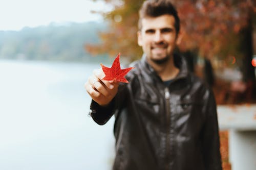 Gratis stockfoto met esdoorn blad, glimlachen, herfst