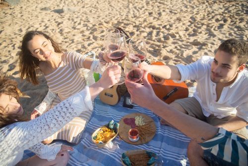 Free Group of friends enjoying a beach picnic in Portugal, toasting with wine glasses, creating joyful memories. Stock Photo
