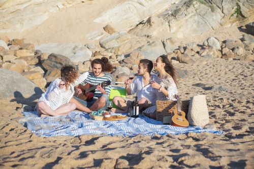Free Friends having fun at a beach picnic, enjoying wine, music, and sunny day vibes. Stock Photo