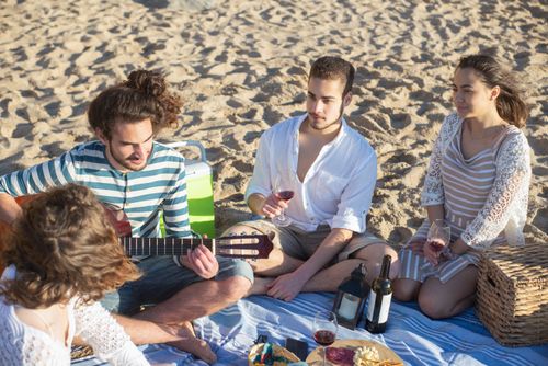 Free Group of young friends having a beach picnic with guitar and red wine in Portugal. Stock Photo