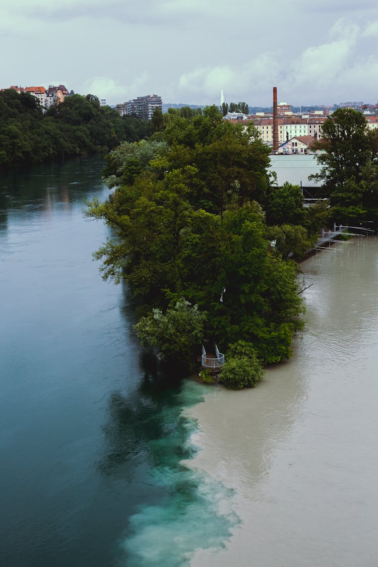 Green Trees Beside River