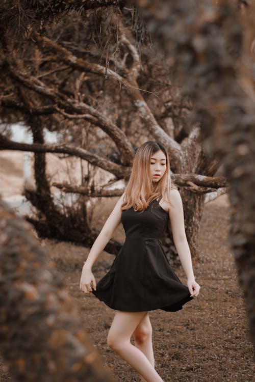Ingyenes stockfotó ágak, ázsiai lány, csupasz fák témában