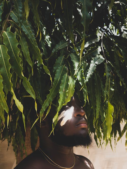 Základová fotografie zdarma na téma afričan, černoch, chloupky na obličeji