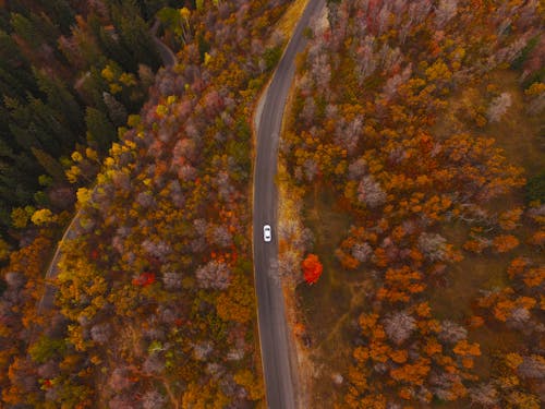 Free stock photo of car, colors, drone