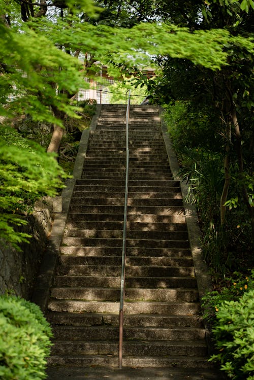 Concrete Stairs Between Green Plants