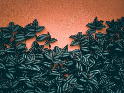 Terracotta wall in raking light — Patchy Pat on Pexels