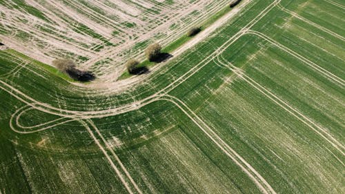 arazi, çayır, drone çekimi içeren Ücretsiz stok fotoğraf
