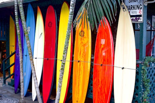 Assorted Colors Of Surfboard