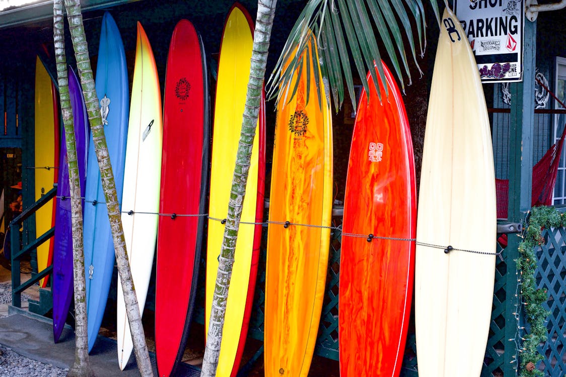 Surfboards standing up