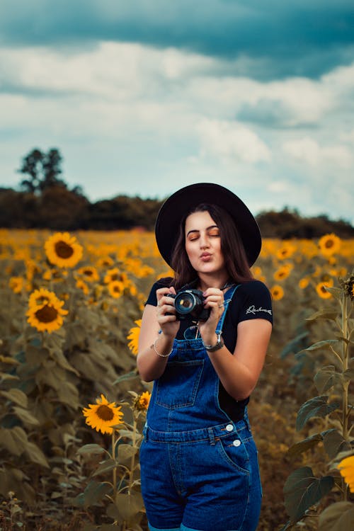 Free Woman on Sunflower Field Holding Black Camera Stock Photo
