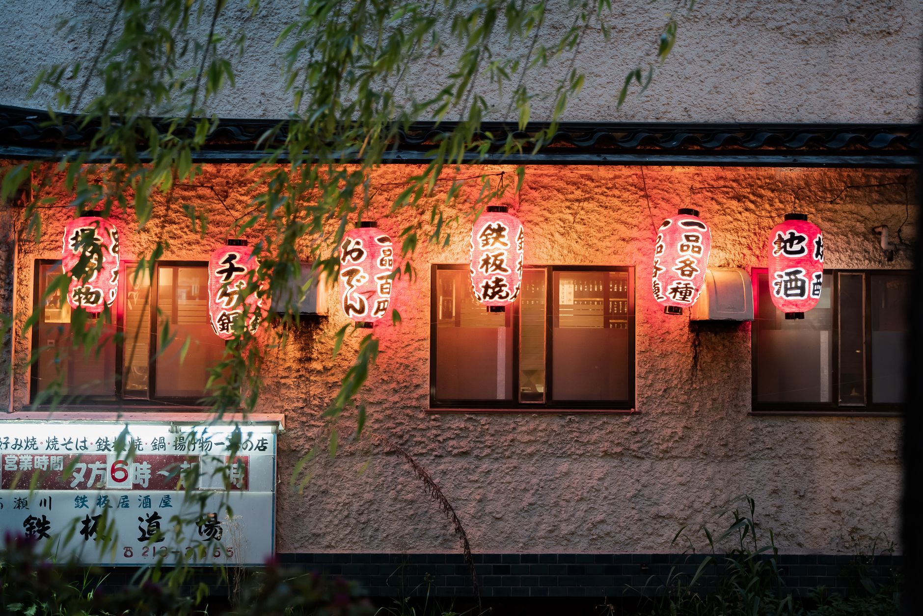 Kyoto's Ethereal Nights: Unveiling Maruyama Park's Cherry Blossom Illumination Schedule