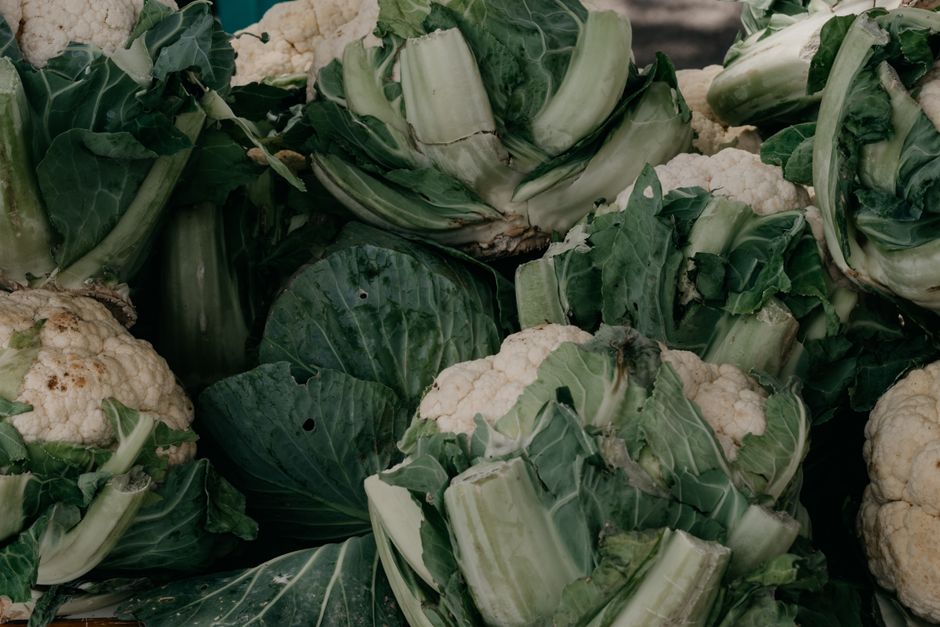 Close-up of fresh organic cauliflower bunches with leaves, perfect for healthy eating concepts.