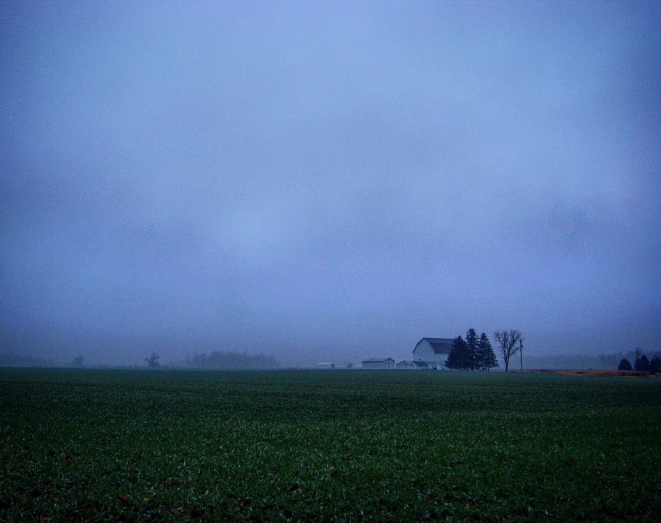 國家, 有霧, 樹木 的 免費圖庫相片