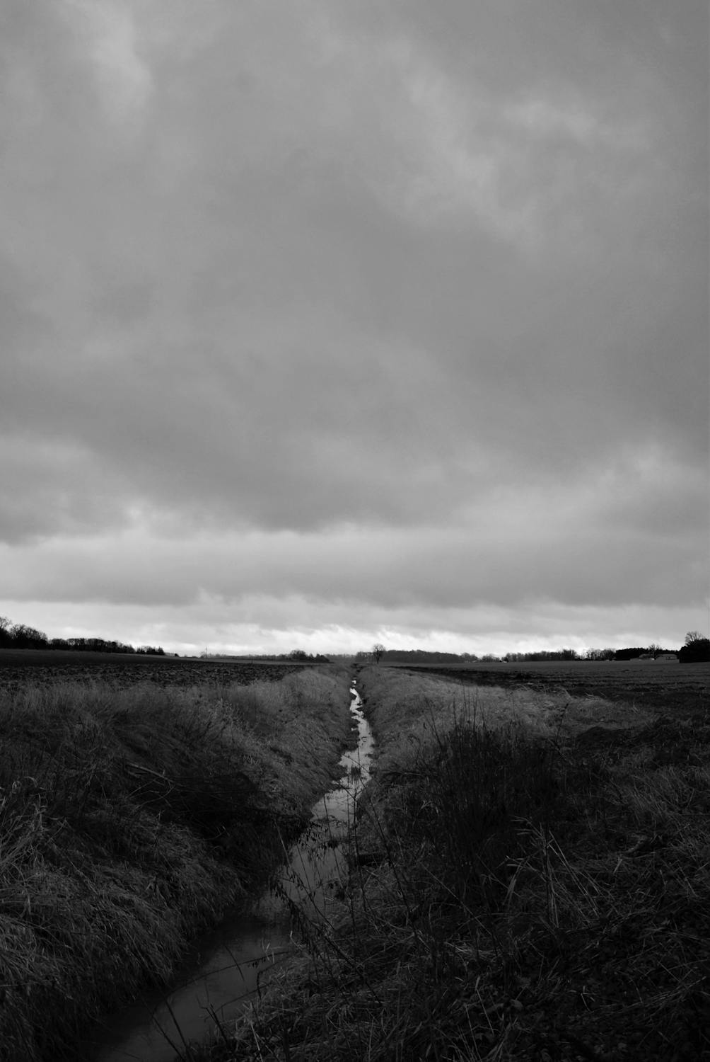 Grayscale Photo of Grass Field · Free Stock Photo