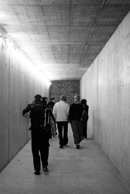 Immagine gratuita di bianco e nero, camminando, corridoio