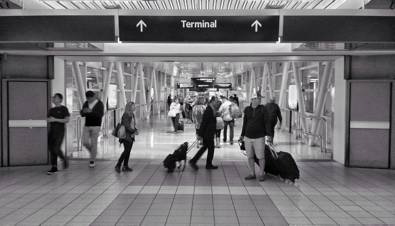 Free stock photo of airport, black-and-white, busy
