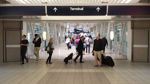 Free stock photo of airport, busy, people