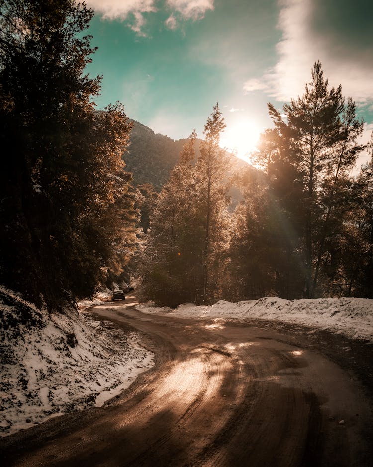 A Wet Road During Winter