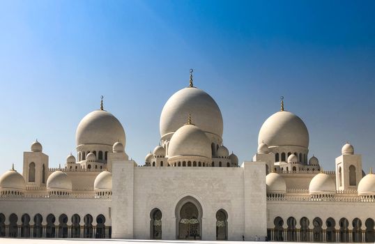 Falcon hospital private visit — Abu Dhabi
