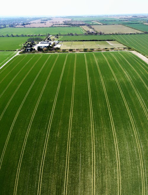 Fotos de stock gratuitas de campos de cultivo, foto con dron, fotografía de naturaleza