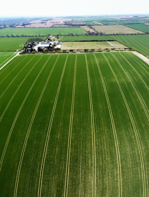 Aerial View of Green Grass Field