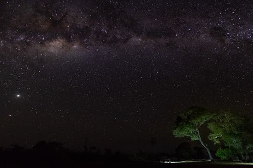 Free A breathtaking view of the starry night sky with Milky Way over a solitary tree. Stock Photo