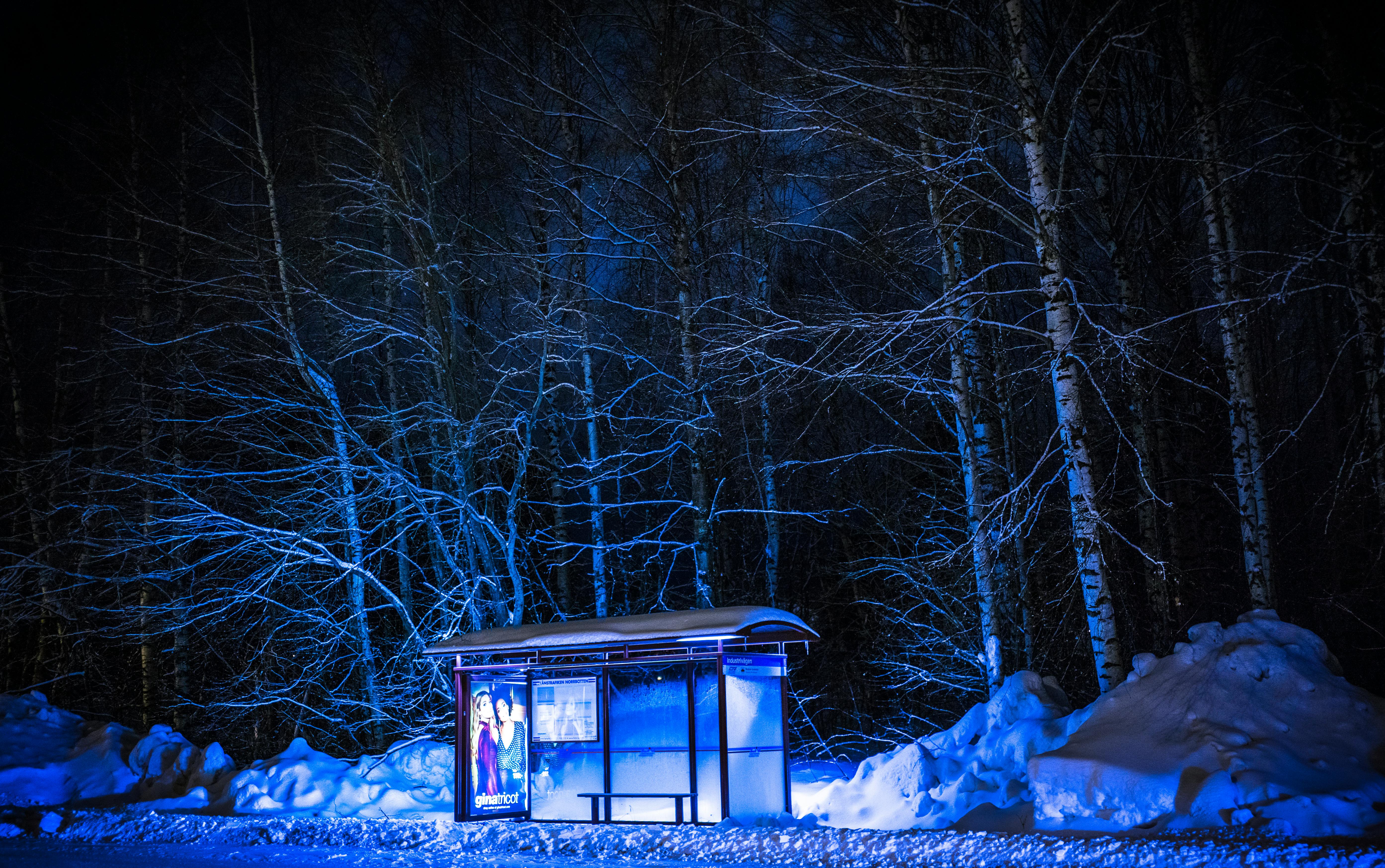 photography of bus stop during winter