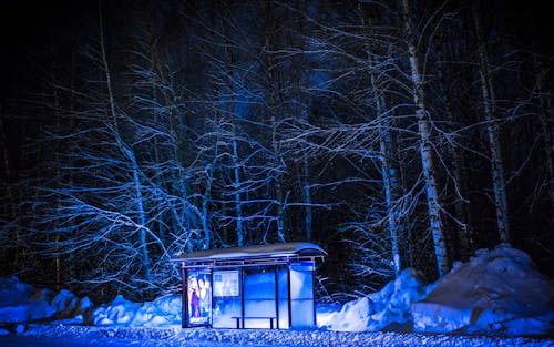 3 000 best bus stop photos 100 free